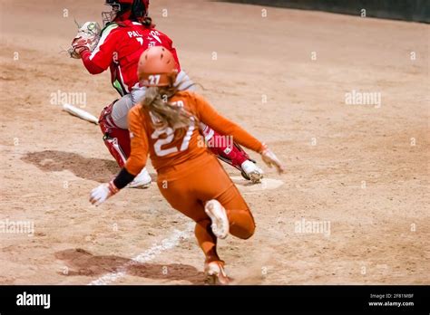 A Texas Longhorn Player Is Sliding Into Home Plate Scoring A Run Stock