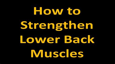 How To Strengthen Lower Back Muscles Youtube