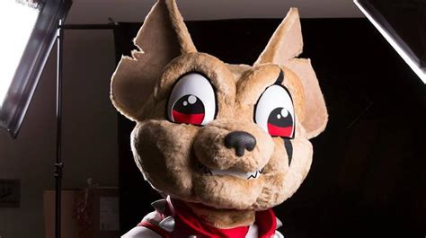 Say Hello To Chico The El Paso Chihuahuas Uh Interesting New Mascot