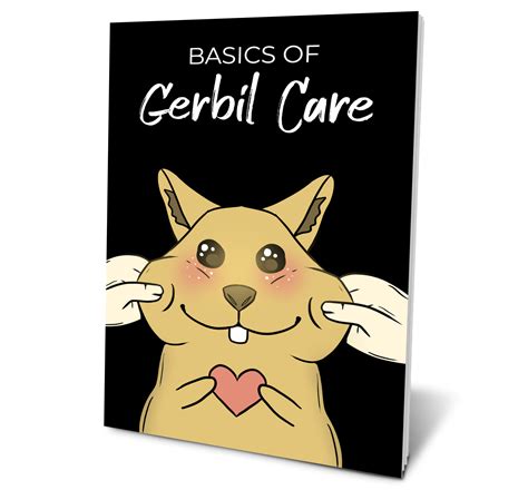 How To Take Care of a Gerbil - Online Gerbil Care