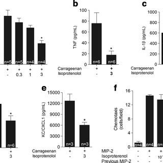 Beta Adrenergic Agonist Decreases Neutrophil Migration And