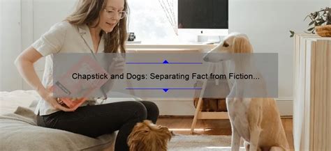 The Scoop On Dog Breeders Lancaster Separating Fact From Fiction