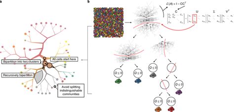 Toomanycells Identifies And Visualizes Relationships Of Single Cell