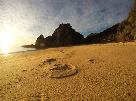 Kiwi Trails: Abel Tasman Coast Track