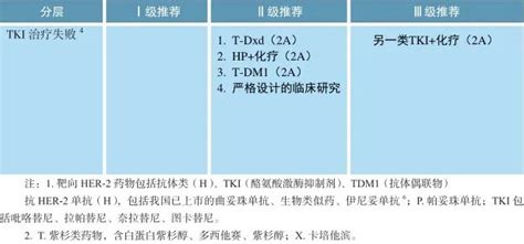 11项更新要点！中国临床肿瘤学会乳腺癌诊疗指南（2023 版）重磅发布！ Medscicn