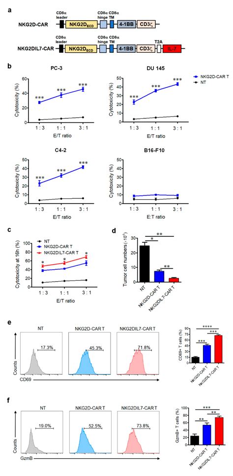 Cancers Free Full Text Co Expression Of Il 7 Improves Nkg2d Based