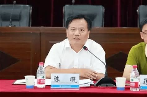 被免职1个月后主动投案的副市长：谁的礼都敢收，茅台在地下室藏到包装腐烂陈晓金华浙江