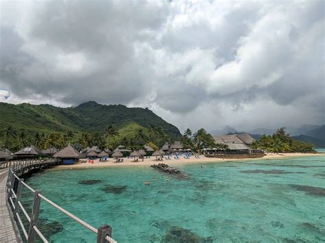 Hilton Moorea Reviews: Rooms, Dining, Amenities + More 2024