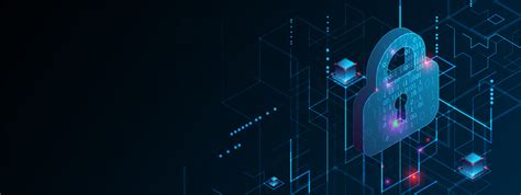 unlocking cybersecurity  encryption protects data  fuels cyber