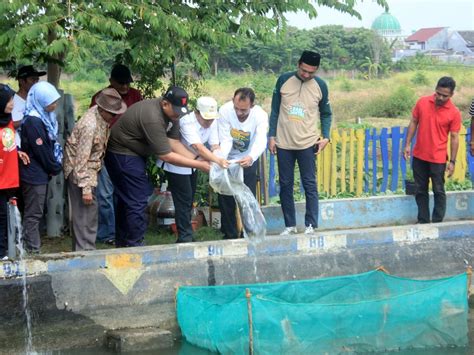 Jaga Ketahanan Pangan Mas Adi Sebar Benih Ikan Sekaligus Sinau Bareng