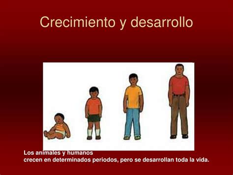 Ppt Características De Los Seres Vivos Powerpoint Presentation Free Download Id963749