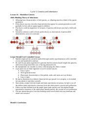 Cycle Docx Cycle Genetics And Inheritance Lecture Mendelian