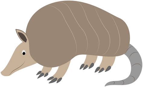armadillo clip art 9