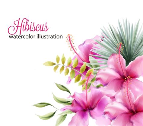 Fleurs D Hibiscus Et Feuilles De Palmier Vecteur Premium