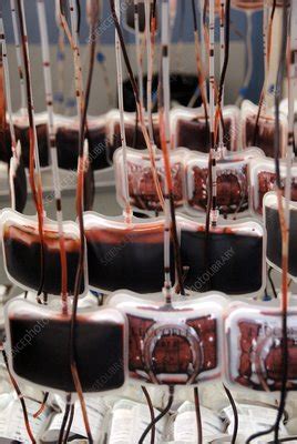 Donor Blood Processing Stock Image C Science Photo Library