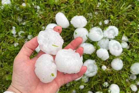 POMEMBNO OCENJEVANJE ŠKODE NA KMETIJSKIH PRIDELKIH ZARADI POSLEDIC