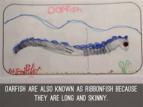 Oarfish by Patrick Johnson