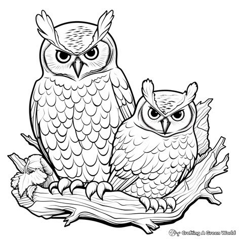 Great Horned Owl Coloring Pages Free And Printable