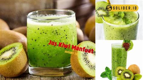 Wajib Tahu 7 Manfaat Jus Kiwi Yang Jarang Diketahui Solider