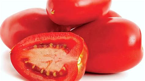 Tipos De Tomate Que Ir O Melhorar Muito Suas Receitas