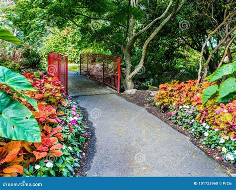 Walkway In The Public Beacon Hill Park Victoria Bc Canada Stock Photo