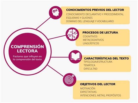 Comprension Lectora Definicion Importancia Y Caracteristicas Esquemas Y