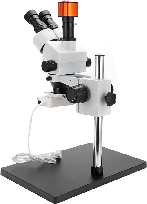 Los 21 Mejores Microscopios Optico Componentes Mecanicos Y