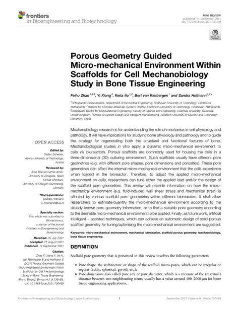 PDF Porous Geometry Guided Micro Mechanical Environment Within