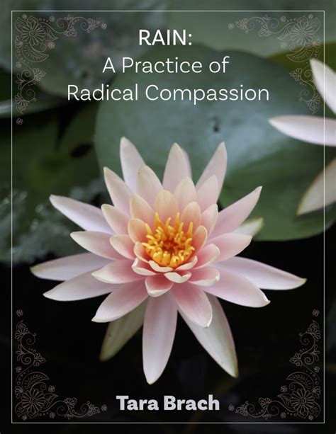 Blog - RAIN: A Practice of Radical Compassion - Tara Brach