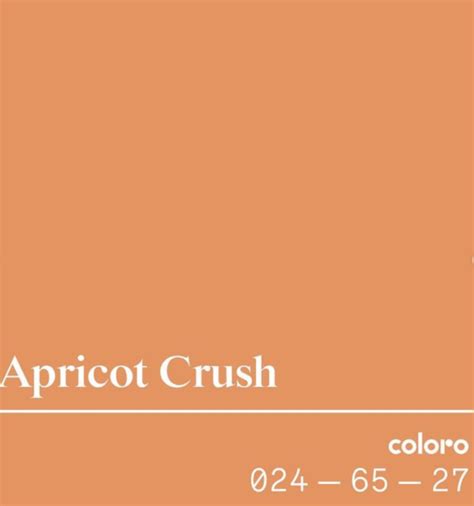 Apricot Crush Cor Do Ano De A Cor Que Iluminar O Seu Ano