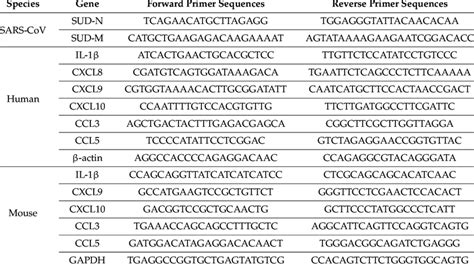 Primer List For Real Time Pcr Download Scientific Diagram