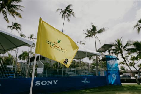 Boost Hawaii Charities Playing With Business Leaders And Pga Tour Pros