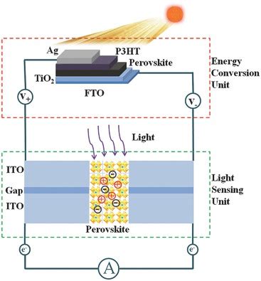 A SelfPowered And Stable AllPerovskite PhotodetectorSolar Cell