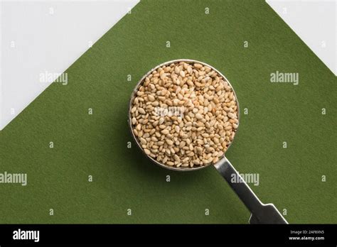 toasted sesame seeds stock photo alamy
