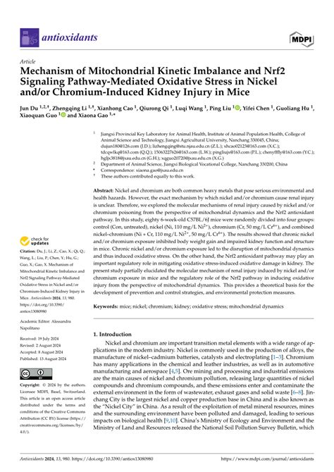 PDF Mechanism Of Mitochondrial Kinetic Imbalance And Nrf2 Signaling