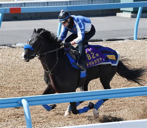 菊花賞馬ドゥレッツァ力強く11秒2 尾関師「天皇賞・春へ間隔が欲しいのでここへ」／金鯱賞｜極ウマ・プレミアム