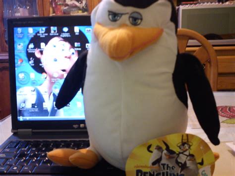 My Skipper Plushie Penguins Of Madagascar Photo 31369278 Fanpop