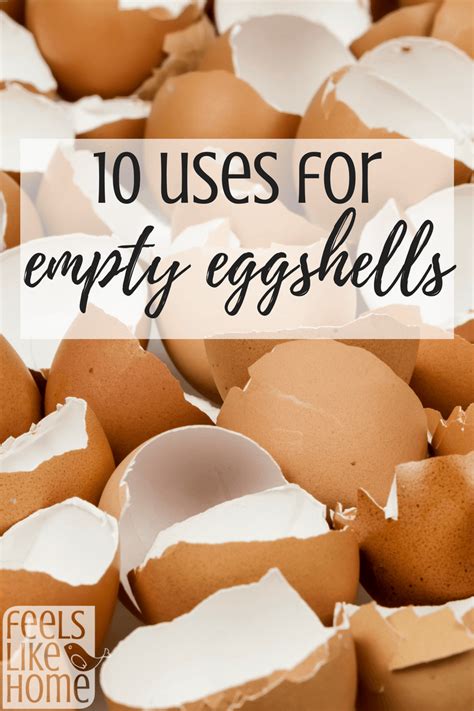 Uses For Empty Egg Shells Reuse Reduce Recycle Right Put Those