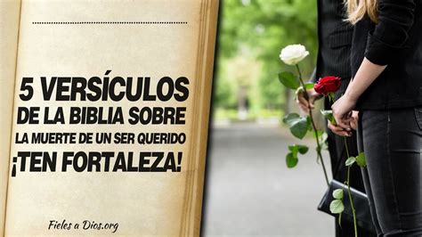 🙏 5 Versículos De La Biblia Sobre La Muerte De Un Ser Querido ¡ten