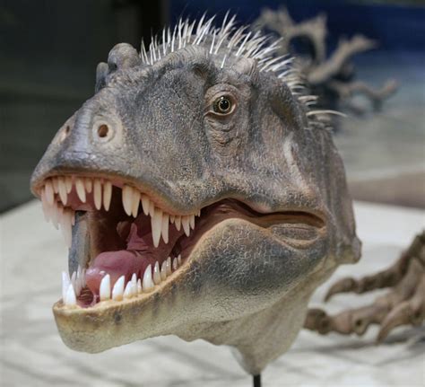 New dinosaur that predates T. rex found - Offbeat - Crazy World ...