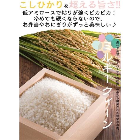 米 ミルキークイーン 20kg 5kg×4袋 富山県産 白米 令和5年産 送料無料 868 5k 4 福井の米屋 通販