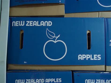 New Zealand Apples Apple Fruit