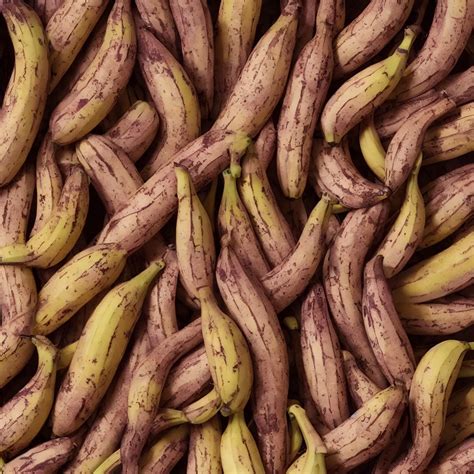 Very Ripe Thin Bananas Placed Like A Fractal Coral Stable Diffusion