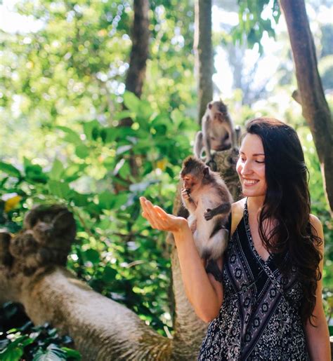 Ubud Monkey Forest In Bali Will Reopen November 5th The Bali Sun