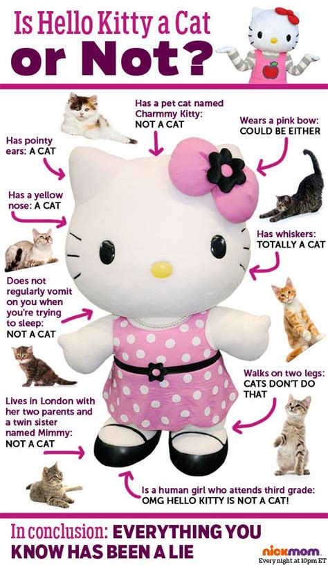 Hello Kitty Is A Girl Not A Cat