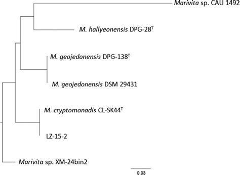 Phylogenomic Tree Constructed Based On The Core Genes Using Seven