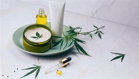 Conoce Los Beneficios Del Cbd Para El Cabello