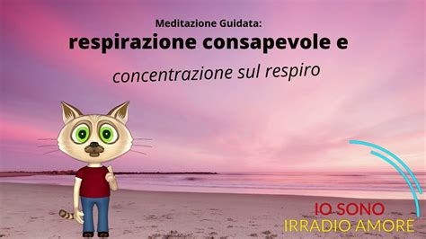 Meditazione Guidata Sulla Respirazione Consapevole E Concentrazione Sul