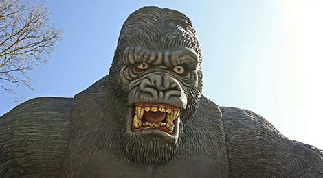 King Kong Attraction Pour les enfants Parc d attractions Rhône Alpes