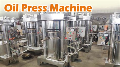 Mastering Cocoa Oil Extraction With Hydraulic Press Machine The Art